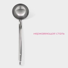 Половник из нержавеющей стали доляна everyday, 250 мл, 44×10,5 см, цвет серебряный