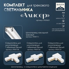 Светильник трековый simple Bayer Lux