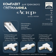 Светильник трековый simple Bayer Lux