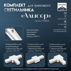 Светильник трековый simple Bayer Lux