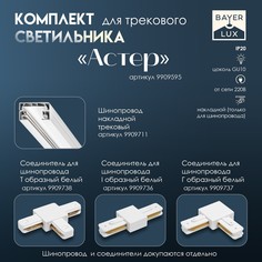 Светильник трековый simple Bayer Lux