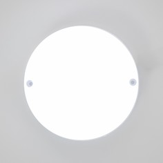 Светильник Bayer Lux