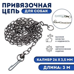 Цепь для привязи собак, 3 м, калибр 3,5 х 26 мм, черная No Brand
