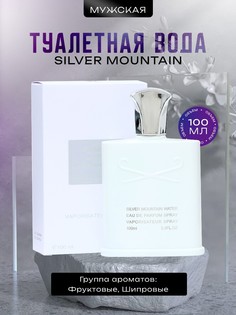 Туалетная вода мужская silver mountain, 100 мл No Brand