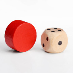 Фишки для настольных игр, 16 шт 2 × 1 см, 2 кубика 1.4 см Время игры