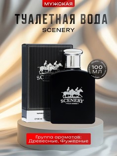Туалетная вода мужская scenery, 100 мл No Brand