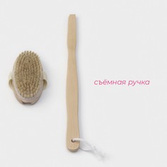 Щетка массажная для тела доляна, с ручкой, натуральная щетина