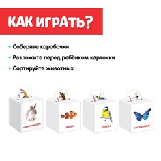 Сортер-копилка Iq Zabiaka