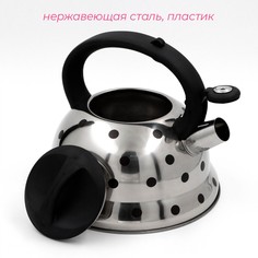 Чайник со свистком из нержавеющей стали доляна