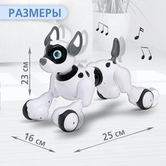 Робот собака koddy iq bot, на пульте управления, интерактивный: звук, свет, танцующий, музыкальный, на аккумуляторе