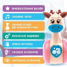 Развивающая игрушка Zabiaka