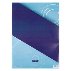 Папка для черчения а3 (297*420мм), 20 листов, без рамки, блок 160г/м2 Calligrata