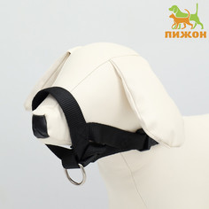 Недоуздок-намордник для собак строгий, размер m, оm 15-26 см, ош 13-20 см, черный Пижон