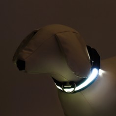 Ошейник с подсветкой, зарядка от usb, размер s, ош 34-41 см, 3 режима, черный Пижон