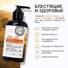 Шампунь для сухих и ослабленных волос с маслом кедра и экстрактом календулы, здоровые и блестящие, 300 мл, eco lab by ural lab