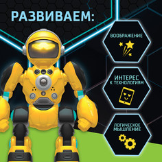 Робот радиоуправляемый IQ BOT