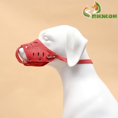 Намордник регулируемый из мягкой кожи, размер № 4, дн 7-9 см, ом 22-25 см, коричневый Пижон