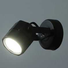 Спот Bayer Lux