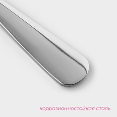Ложка чайная доляна