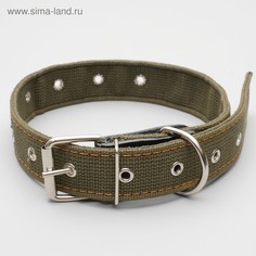 Ошейник брезентовый безразмерный двухслойный, 72 х 3,5 см, ош 45-60 см, хаки Пижон
