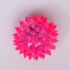 Мяч светящийся для собак средний, tpr, 5,5 см, розовый Пижон