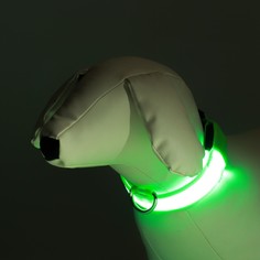 Ошейник с подсветкой, зарядка от usb, размер s, ош 34-41 см, 3 режима, зеленый Пижон