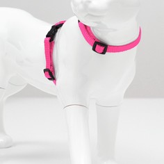 Комплект для кошек, ширина 1 см, ош 16,5-27 см, ог 21-35 см, поводок 120 см, розовый Пижон