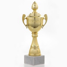 Кубок 124d, наградная фигура, золото, подставка камень, 22 × 9 × 5 см. Командор