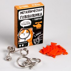 Металлическая головоломка Puzzle
