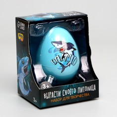 Набор для творчества. вырасти своего питомца Школа талантов