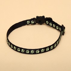Ошейник кошачий Пижон
