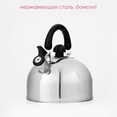 Чайник со свистком из нержавеющей стали доляна