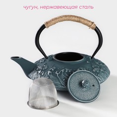 Чайник чугунный доляна