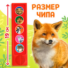 Музыкальная развивающая игрушка Буква Ленд