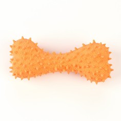 Игрушка пищащая для собак из латекса Пижон