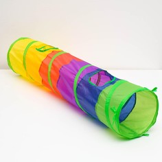 Туннель для кошек с игрушкой, 120 х 25 см, разноцветный Пижон
