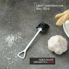 Ложка десертная из нержавеющей стали magistro
