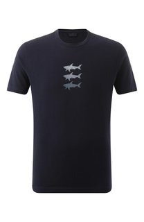 Хлопковая футболка Paul&Shark