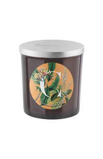 Свеча Cinnamon & Clove (350g) Pernici