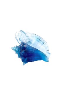 Скульптура Ракушка Coral Sea Daum