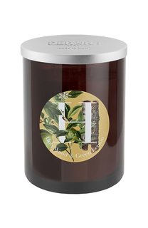 Свеча Holy Wood & Green Lemon (900g) Pernici