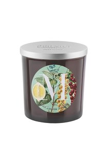 Свеча аромат Mint Leaves & Lime (350g) Pernici