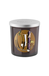 Свеча Jamaican rum & Caramel (350g) Pernici