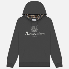 Мужская толстовка Aquascutum Active Big Logo Raglan Hoodie, цвет серый, размер XXL
