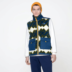Мужской жилет Royal Arch Vest The North Face