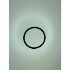 Прокладка насоса топливного (бензонасоса) кольцо Chery Tiggo / BYD F3 Нет бренда