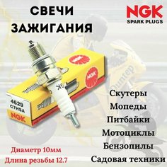 Свеча зажигания NGK C7HSA для мотоциклов мопедов квадроциклов лодочных моторов / Honda Yamaha Kawasaki Suzuki Ducati