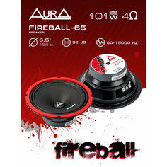 Эстрадная акустика AurA FIREBALL-65