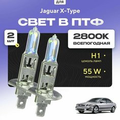 Всесезонные галогеновые лампочки 2800К H1 в ПТФ для Jaguar X-Type. H1 в туманки для Ягуар. Галоген в противотуманные фары Va24 Ru