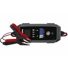Умное зарядное устройство TOPDON TB8000